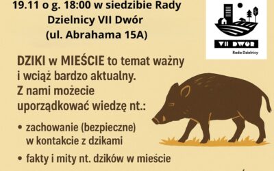 Dziki w mieście